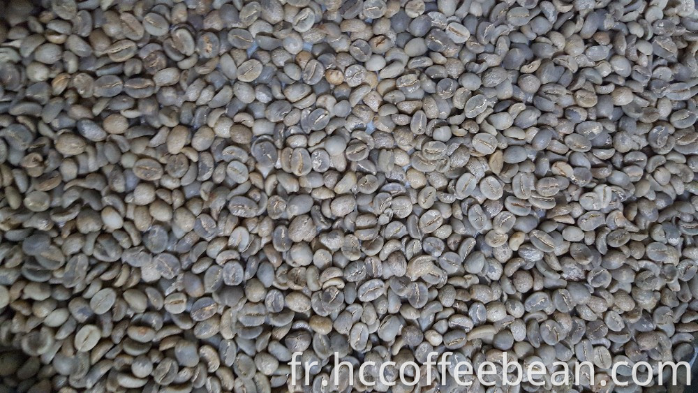 divers grains de café naturels